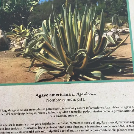 Jubrique